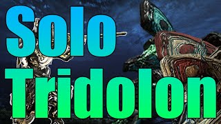 Solo Trido 9 min  Builds  Warframe [upl. by Celio]