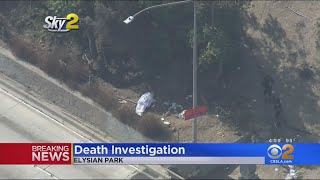 Body Found Off Freeway In Elysian Park [upl. by Awra]