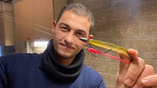 Lure Fishing For Beginners  Soft Plastics Lure Texas Rig Carolina Rig and Dropshot [upl. by Chilton]