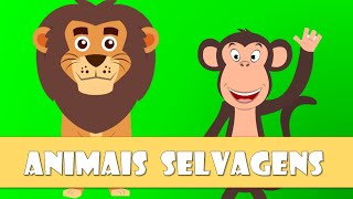 Animais selvagens  Vídeo educativo [upl. by Narret]