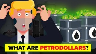 How Petrodollars Affect The US Dollar And The World Economy [upl. by Hotze108]