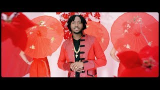 JAHYANAI  BRUK IT OFF  OFFICIAL MUSIC VIDEO [upl. by Sel355]