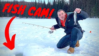 ICE FISHING in Washington State Trout Catch amp Cook Adventure w UNDERWATER FOOTAGE [upl. by Aerdnad]