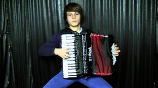 Brenna Tuats Guat  Hubert von Goisern  Accordion Cover by Stefan Bauer [upl. by Vano]