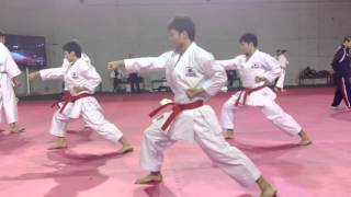 Japan National Karate Team  quotJionquot training  WKF World Championship 2012 [upl. by Dett]