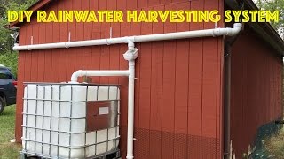 DIY Rainwater Harvesting System [upl. by Grote213]