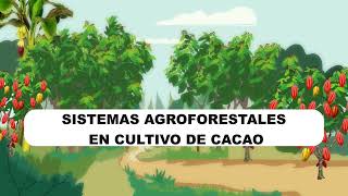 1 Bienvenida Sistemas Agroforestales [upl. by Macguiness]