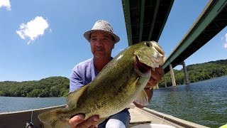 Live Shiners For Big Bass [upl. by Phia]