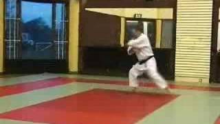 Wado Ryu Karate Kata Jion [upl. by Odnarb]