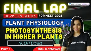 Phoenix 20 Biology Most Important Video for NEET 2025  Udaan [upl. by Naerad118]