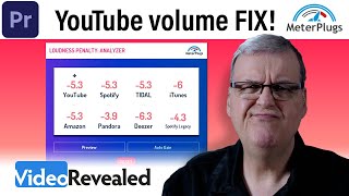 YouTube volume FIX [upl. by Novia526]