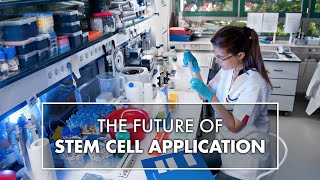 The Future of Stem Cell Application  Dr Amit Mirchandani  Top10MD [upl. by Evoy]