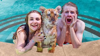 TEACHING BABY TIGERS TO SWIM cute reaction💦🐯 Piper Rockelle [upl. by Roldan]