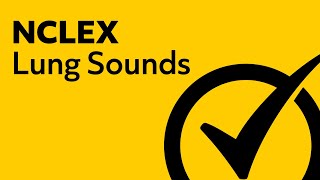 Lung Sounds  NCLEX Review [upl. by Cogn]