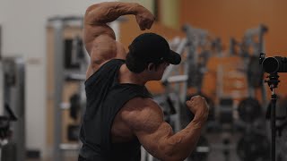 IFBB Pro Arm Workout [upl. by Ettenrahs]