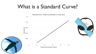 What is a Standard Curve [upl. by Lleira]