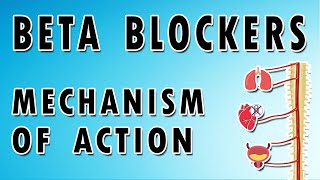 Beta Blockers Mechanism and Side Effects [upl. by Reinert]