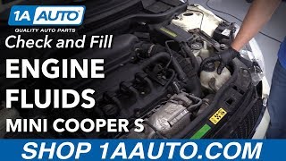 How to Check and Fill Fluids 0713 Mini Cooper S [upl. by Adanar]