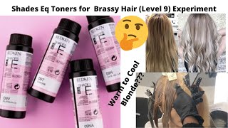 Shades Eq Toners for Brassy Hair Level 9 Experiment [upl. by Gwendolin44]