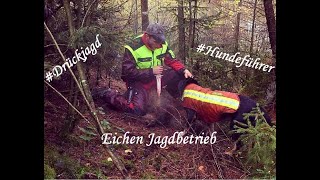 Drückjagd 2019  Waffenhandhabung und Schwarzwild Abfangen [upl. by Anem924]