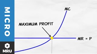 Maximizing Profit Under Competition [upl. by Inahteb434]