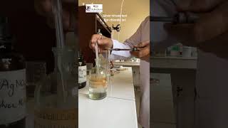 Silver nitrate chloride ion test with Practical Guru Monu Sharma [upl. by Sung785]