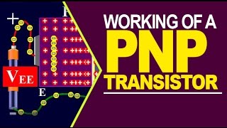 Working of a PNP transistor [upl. by Sugar]