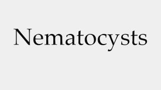 How to Pronounce Nematocysts [upl. by Lisandra]