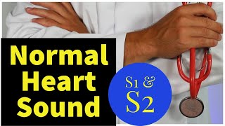 Normal S1 and S2 Heart Sounds With Explanation [upl. by Lindsy]