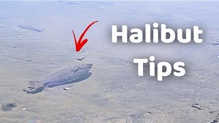 Halibut tips  Drop Shot Rig EXPLAINED [upl. by Byler]