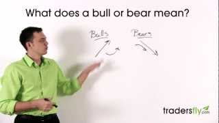 What Does a Bull and Bear Mean in the Stock Market [upl. by Alaham]