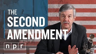 So You Want To Repeal The 2nd Amendment  Ron’s Office Hours  NPR [upl. by Ahsilahk]