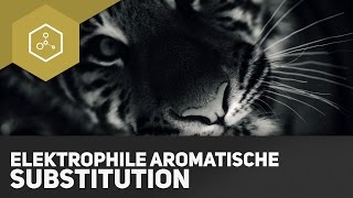 Elektrophile aromatische Substitution [upl. by Gupta]