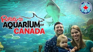 Ripleys Aquarium of Canada Toronto Ontario [upl. by Hsinam308]