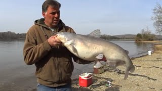 Basic Guide To Catching Big Catfish [upl. by Avilla802]