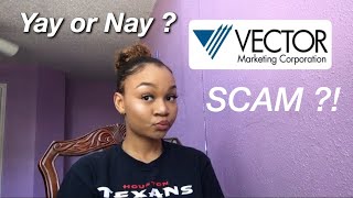 VECTOR MARKETING  CUTCO A SCAM [upl. by Lyrret]