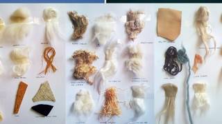 Textile Fiber and Its properties [upl. by Eelah991]