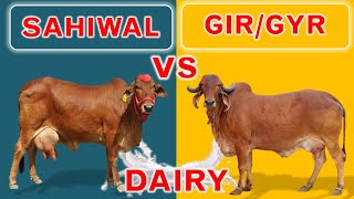 Sahiwal vs Gir or Gyr  Two Best Cow Breeds for Dairy in India and Pakistan  Plus 10 Dairy Breeds [upl. by Jehoash]