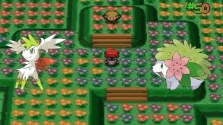 Pokemon Platinum Version  Part 50 How To Get Shaymin  Its Sky Forme [upl. by Anais]