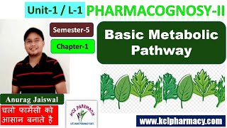 Metabolic Pathway Primary amp Secondary Metabolite  L1 Unit1  Sem5  PharmacognosyII [upl. by Gilmore]