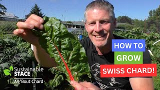 How To Grow Swiss Chard [upl. by Aynotak]