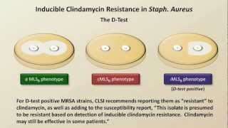 Antibiotic Resistance Antibiotics  Lecture 9 [upl. by Iaoh]