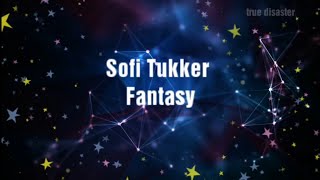 Lyrics Sofi Tukker  Fantasy [upl. by Gabler]