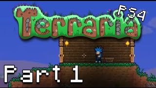 I Spent 100 Days in Terraria Master Mode [upl. by Sailesh]