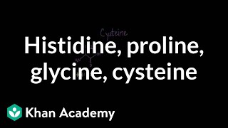 Special cases Histidine proline glycine cysteine  MCAT  Khan Academy [upl. by Amr420]