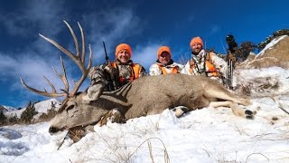 Colorado Giant Mule Deer [upl. by Elbart]