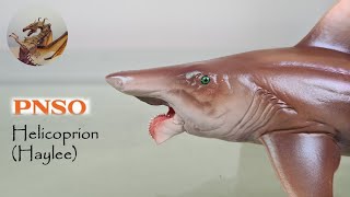 123 PNSO Helicoprion 2021 Haylee Review [upl. by Dido]