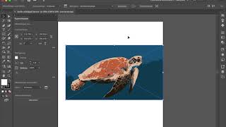 Afbeelding overtrekken Adobe Illustrator [upl. by Chesney]