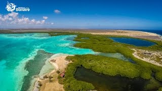 Mangrove Info Center Bonaire [upl. by Beaner]