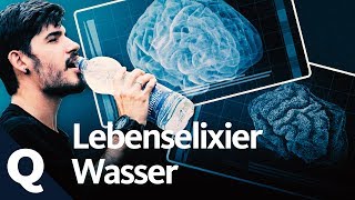 Wasser Lebenswichtig für den Menschen  Quarks [upl. by Pry506]